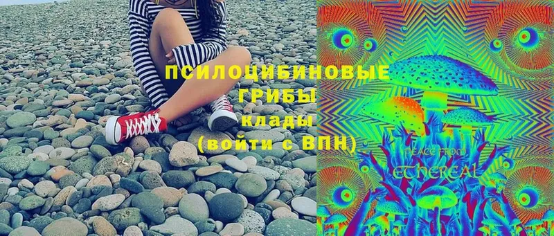 Псилоцибиновые грибы ЛСД  Бузулук 